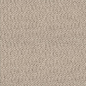 8 in. x 8 in. Pattern Carpet Sample - Summerville -Color Dew Drop