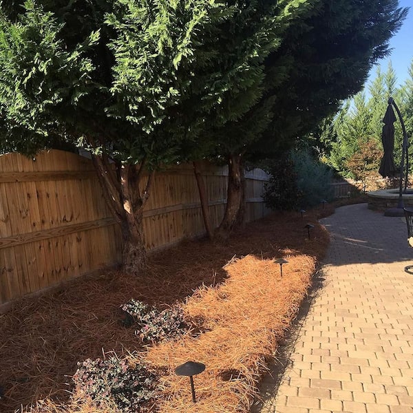 ATENGNES - Natural Longleaf Pine Straw Roll for Landscaping Covers Up to 125 sq. ft.