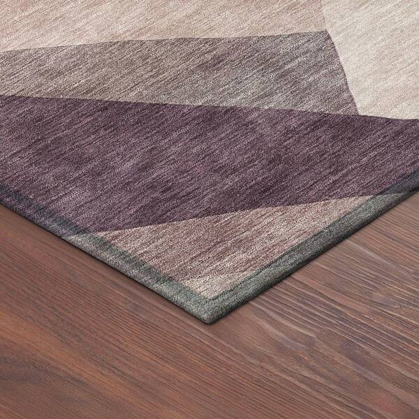 Chantille Machine Washable Indoor/Outdoor Abstract ACN2374 Plum 2 ft. x 3 ft. Accent Rug