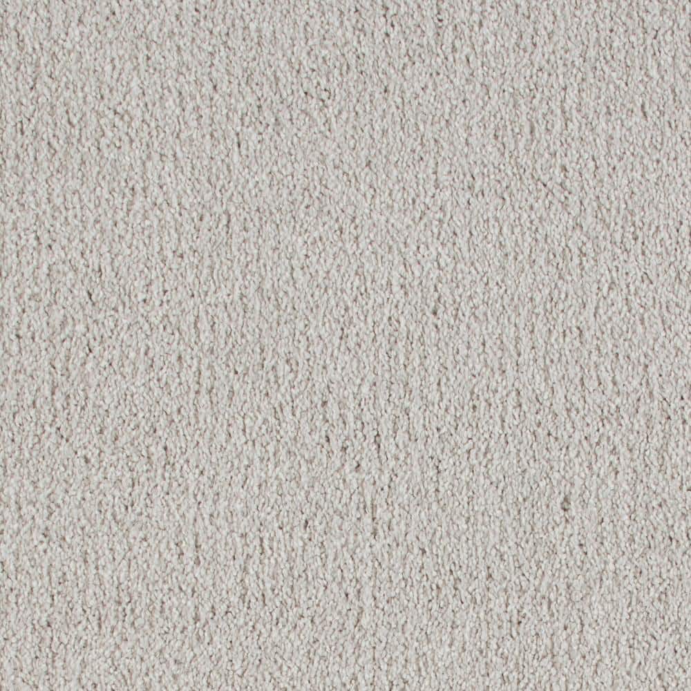 8 in. x 8 in. Texture Carpet Sample - Northern Hills II -Color Uptown price history on PriceWatchPro