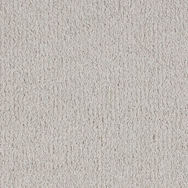 Lifeproof with Petproof Technology 8 in. x 8 in. Texture Carpet Sample - Northern Hills II -Color Uptown