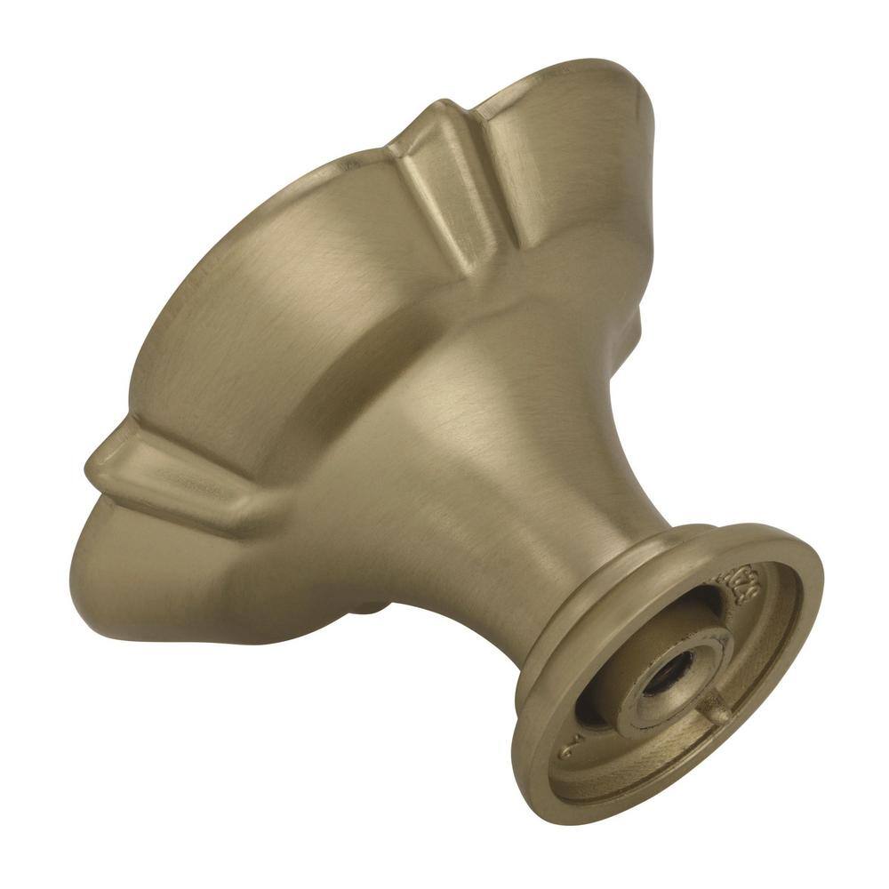 Golden Champagne Traditional Square Cabinet Knob with Mounting Hardware