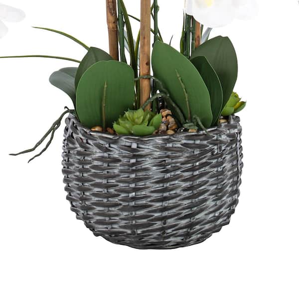 Vanity Art 27.95 in. H Phalaenopsis Orchids Floral Arrangement in Bamboo Woven Pot