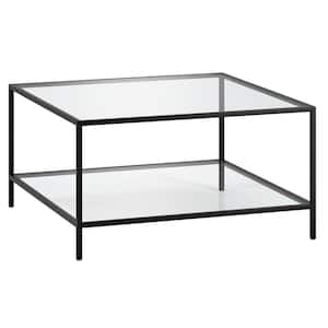 Sivil 32 in. Blackened Bronze Square Glass Top Coffee Table with Storage