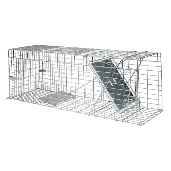 Large Collapsible Live Animal Cage Trap for Raccoon, Opossum, Groundhog, and Feral Cats