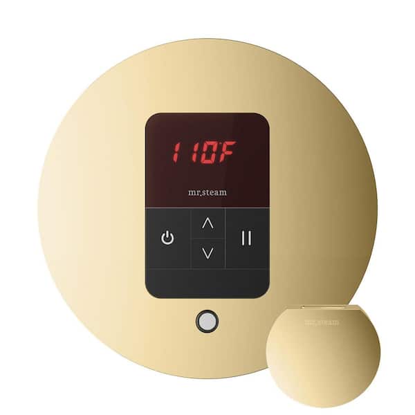 Basic Butler Steam Shower Control Package with Round iTempo Control and Steamhead in Polished Brass