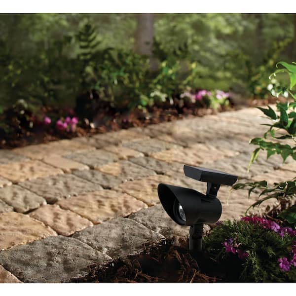 Unbranded Open Stock Solar Black Outdoor Integrated LED Landscape Spot Light