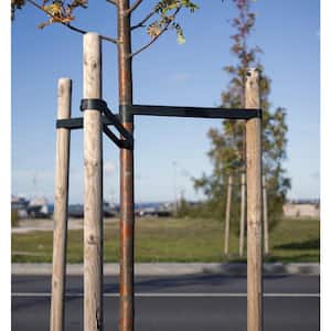 6 ft. Round Tree Stake Lodge-Pole (12-Pack)