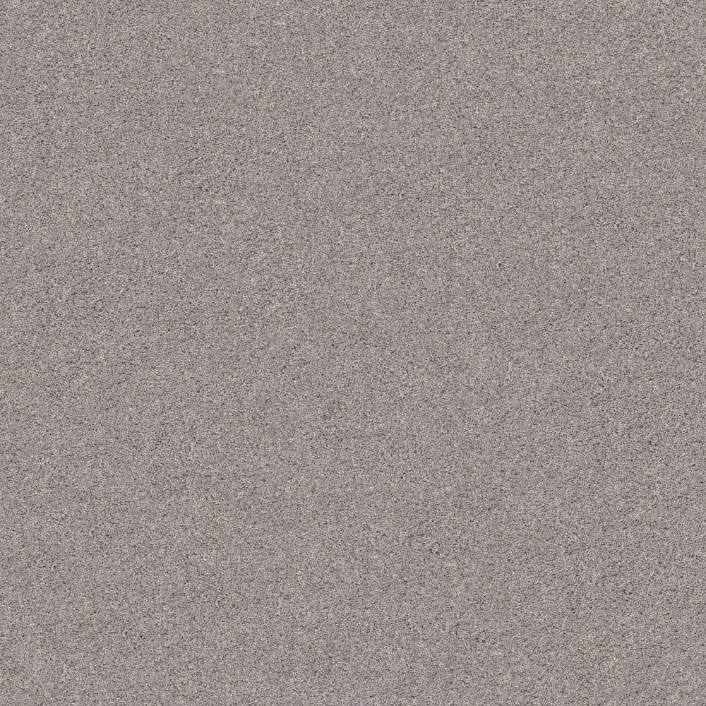 8 in. x 8 in. Texture Carpet Sample - Cherry on Top I - Color Seagull price history on PriceWatchPro