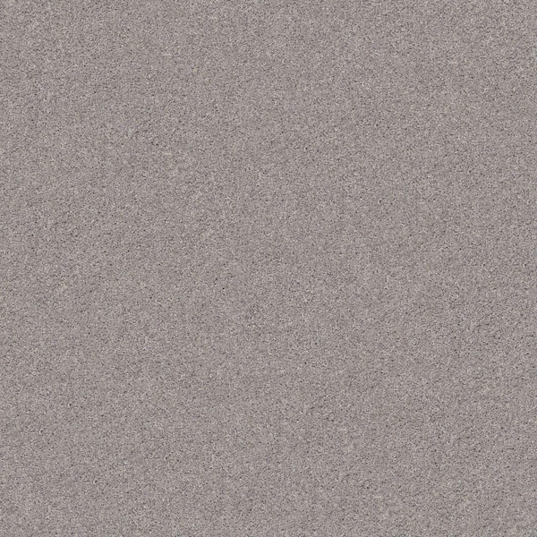 8 in. x 8 in. Texture Carpet Sample - Cherry on Top I - Color Seagull