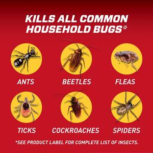 Home Defense 1 gal. Insect Killer for Indoor & Perimeter2 Ready-To-Use Trigger Sprayer