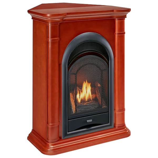 ProCom FS100T-3AS Ventless Fireplace System 10K BTU Duel Fuel