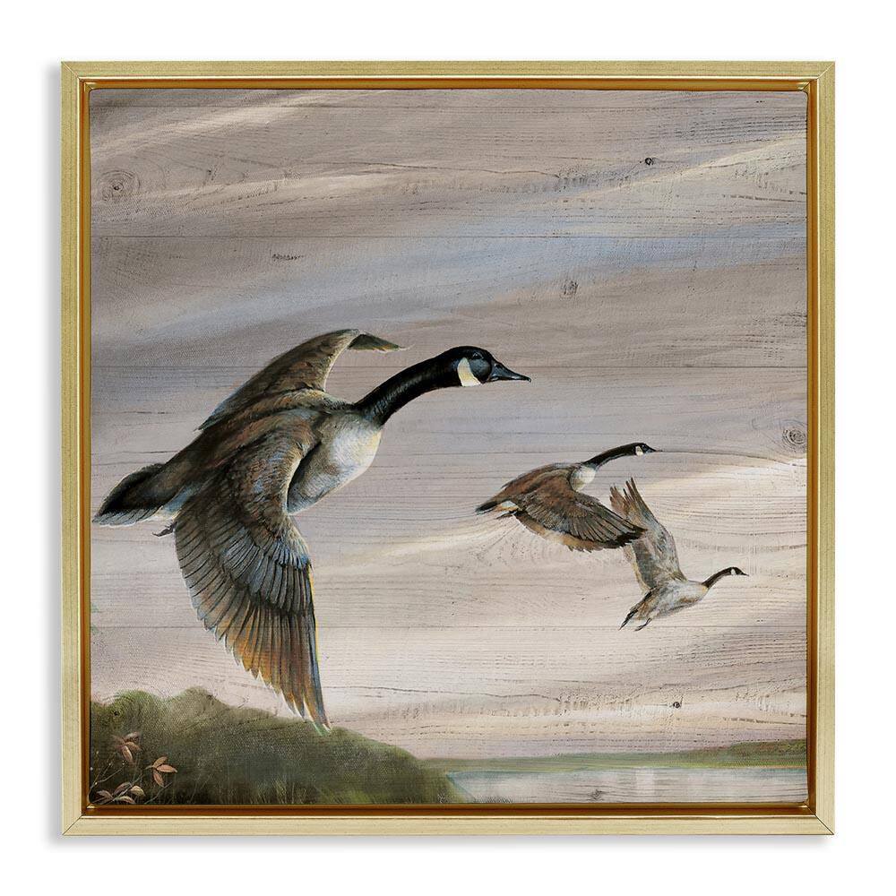Flying Geese over Rustic by Ruane Manning Gold Floater Frame Animal Graphic Art Print 25 in. x 25 in. price history on PriceWatchPro