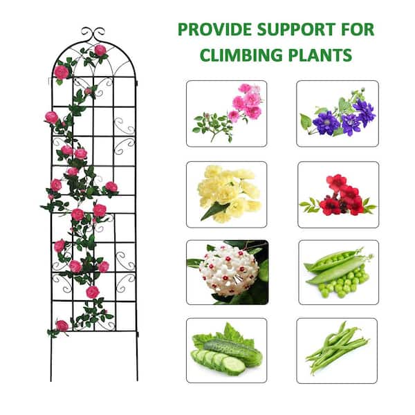 2 Pack Black Metal Garden Trellis For Climbing Plants - 86.2" X 19.7" Large Outdoor Plant Support