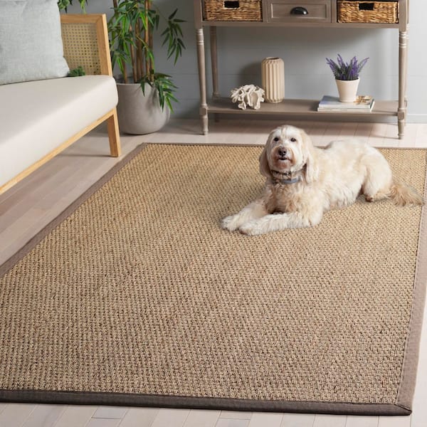 SAFAVIEH Natural Fiber 5 ft. x 8 ft. Natural/Gray Abstract Solid