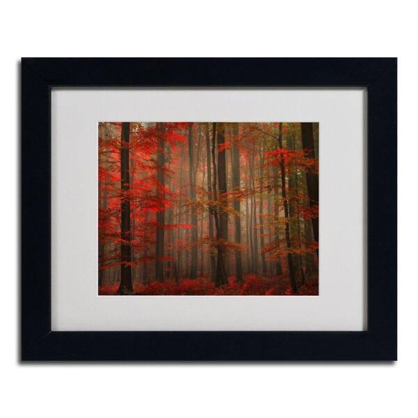 Trademark Fine Art 11 in. x 14 in. Enchanting Red Black Framed Matted Art-DISCONTINUED