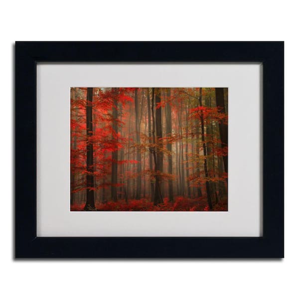 Trademark Fine Art 16 in. x 20 in. Enchanting Red Black Framed Matted Art-DISCONTINUED