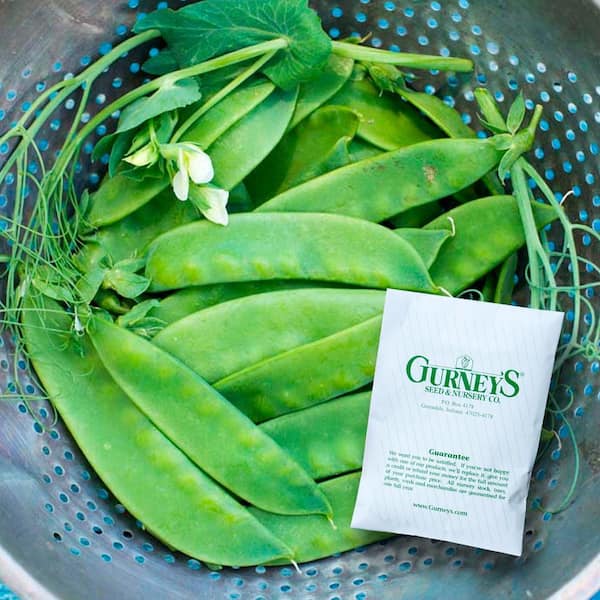 0.50 lb. Snow Pea Avalanche (Seed Packet)