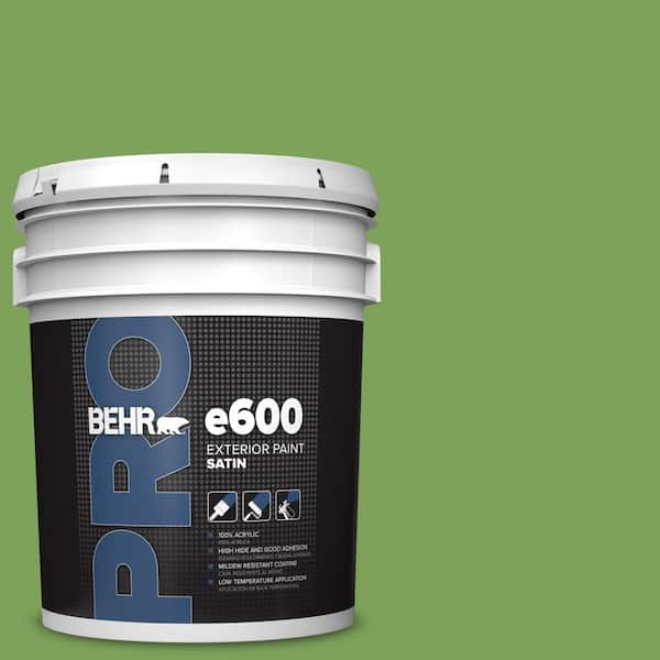 5 gal. #P380-6 Springview Green Satin Exterior Paint