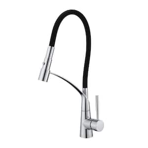 Pagani Single-Handle Pull-Down Sprayer Kitchen Faucet with Accessories in Rust and Spot Resist in Polished Chrome