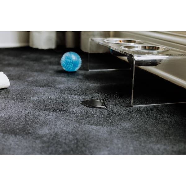 G-Floor® for Pets - Protective Floor Covering 5' x 10