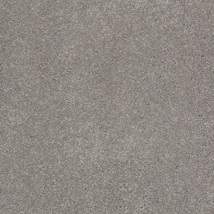Coral Reef I - Bed Rock - Gray 65.5 oz. Nylon Texture Installed Carpet