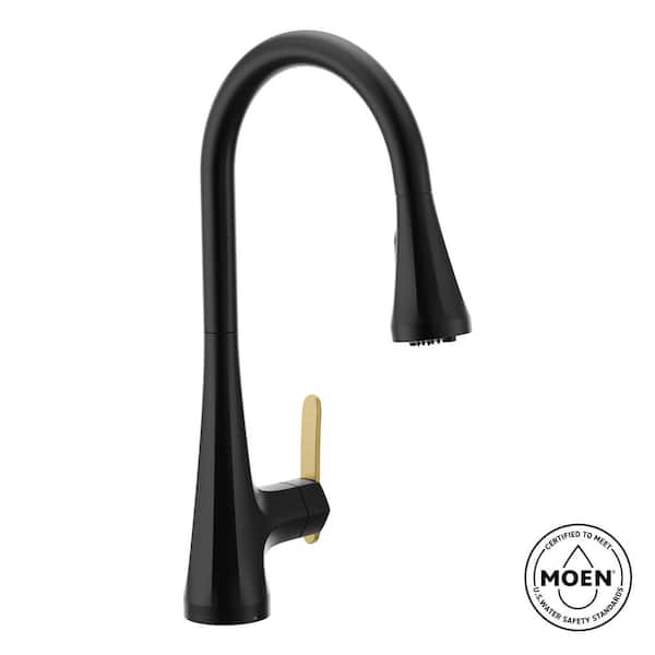 Sinema Single Handle Pull-Down Sprayer Kitchen Faucet with Optional 3- in -1 Water Filtration in Matte Black