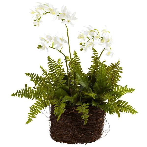 Nearly Natural Artificial Mini Phalaenopsis and Fern with Birds-Nest Planter