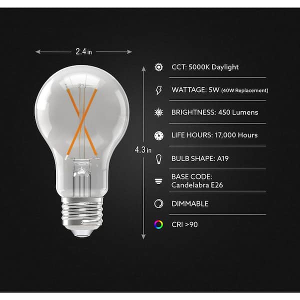 40-Watt Equivalent A-style A19 Dimmable CEC 90 CRI Clear Glass Filament E26 LED Light Bulb, Daylight 5000K (4-Pack)