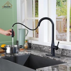 Single Handle Pull Down Sprayer Kitchen Faucet with Dual-Function Pull out Sprayer head in Matte Black
