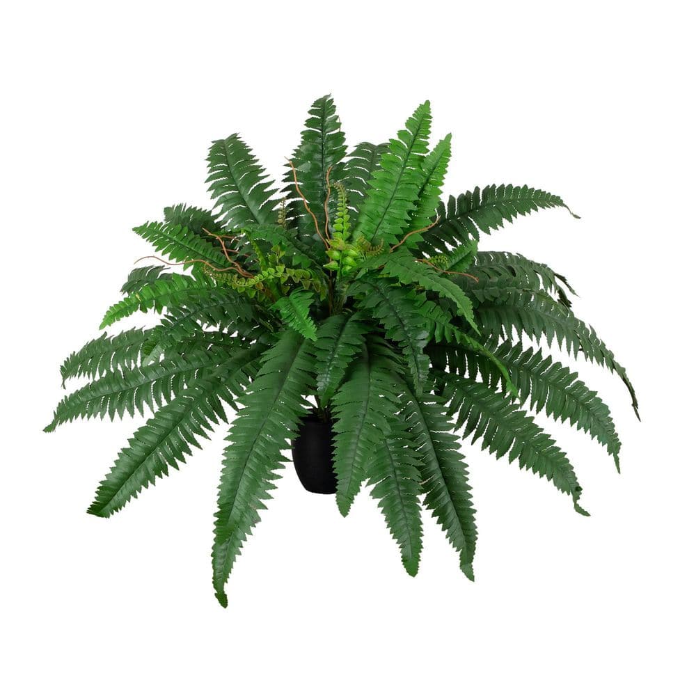 24 in. Artificial Self-Shaped Boston Fern Plant in Black Planter price history on PriceWatchPro