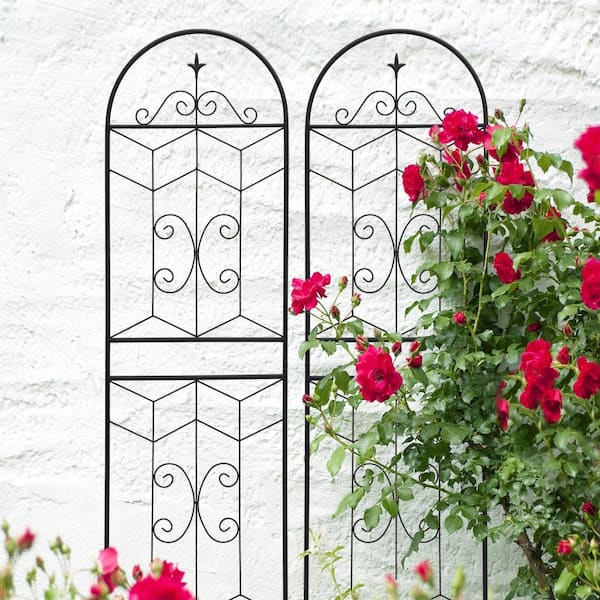 4 Pack 71 in H x 19.7 in W Rustproof Metal Garden Trellis, Outdoor Flower Support for Climbing Plants, Black Final