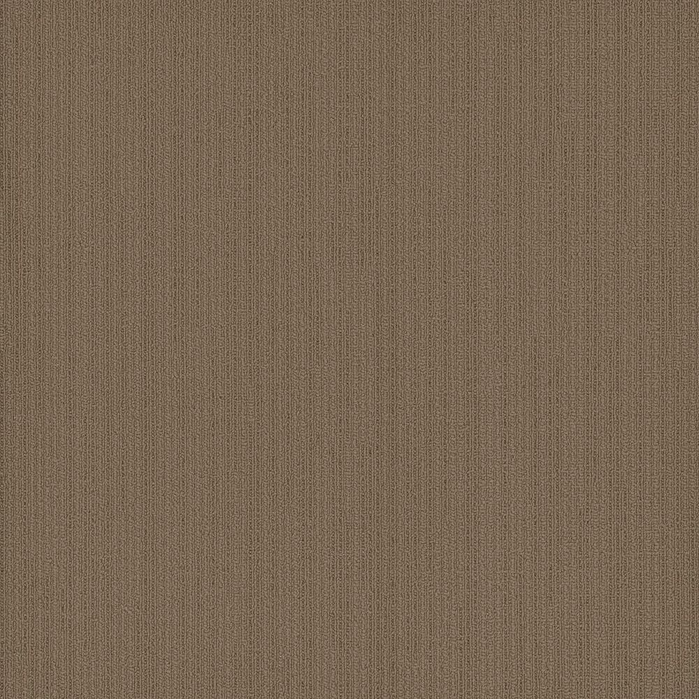 8 in. x 8 in. Loop Carpet Sample - Cadence Step Tile - Color Bradley price history on PriceWatchPro