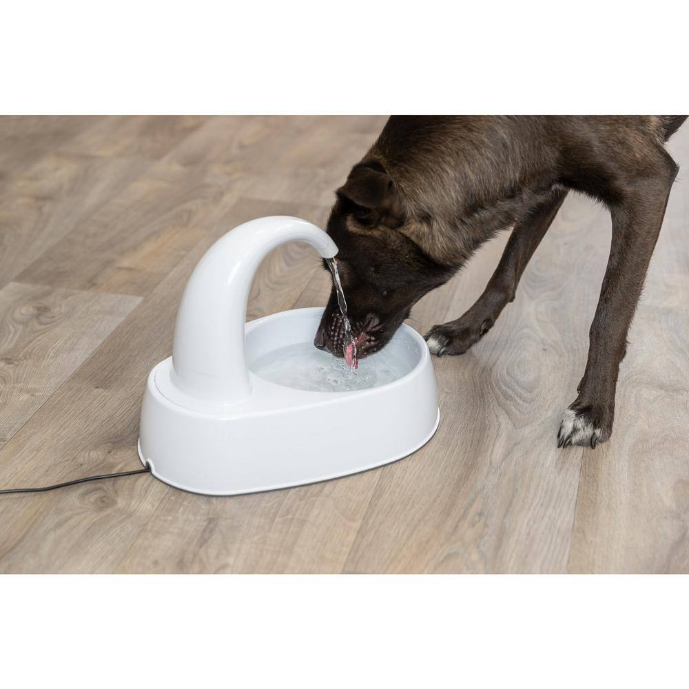 White Curved Stream Pet Water Fountain with Filter, 84.5oz