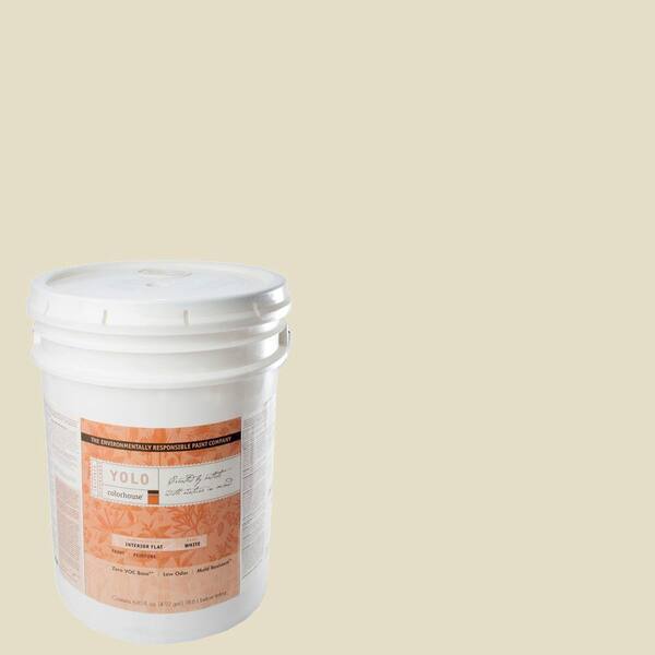 YOLO Colorhouse 5-gal. Air .03 Flat Interior Paint-DISCONTINUED