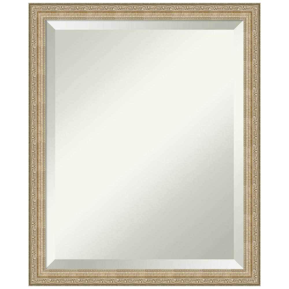 Paris Champagne Bronze Brushed Framed Wall Mirror