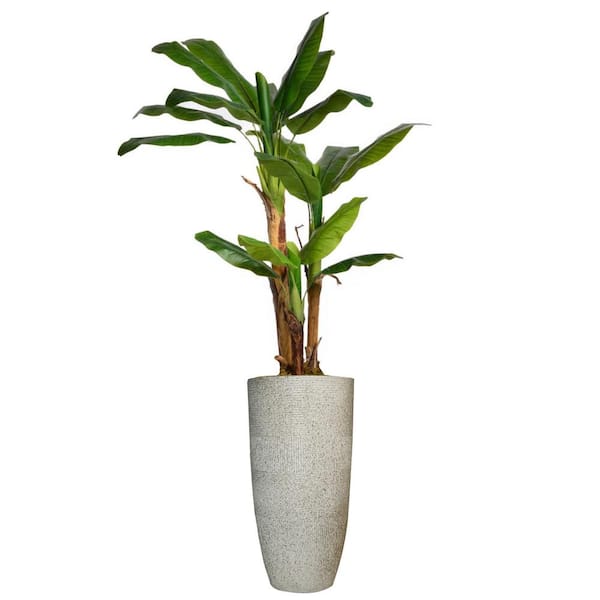 VINTAGE HOME Artificial Faux Real Touch 6.17 ft. Tall Banana Tree with Burlap Kit and Fiberstone Planter