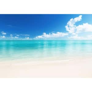 144 in. W x 100 in. H The Beach Wall Mural