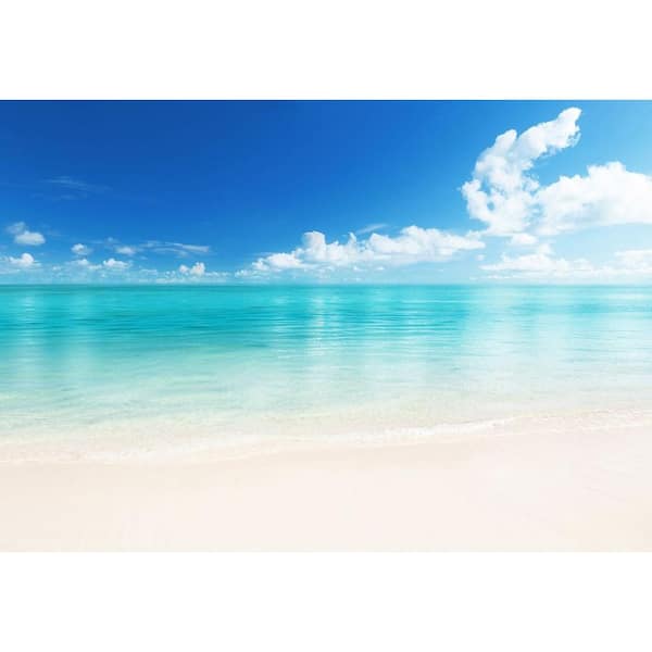 Ideal Decor 144 in. W x 100 in. H The Beach Wall Mural