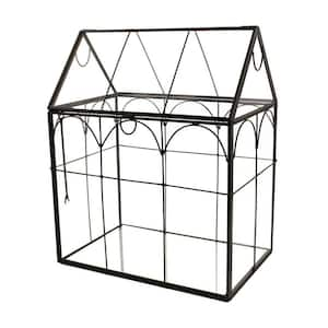 7 in. x 9 in. Black Metal and Glass Terrarium