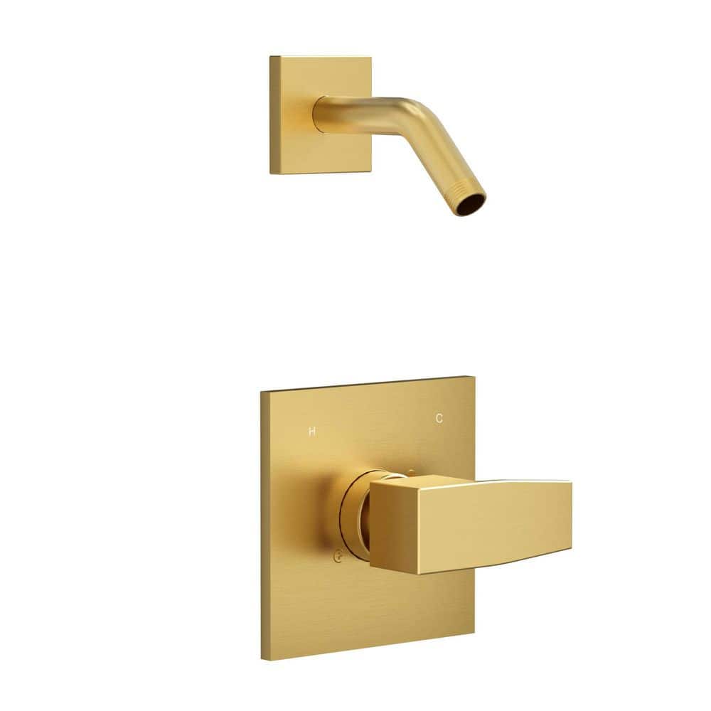 Brushed Gold Stainless Steel 14 Series Shower Trim Kit for R10000-UNBX Valve, Single Handle Trim Only price history on PriceWatchPro