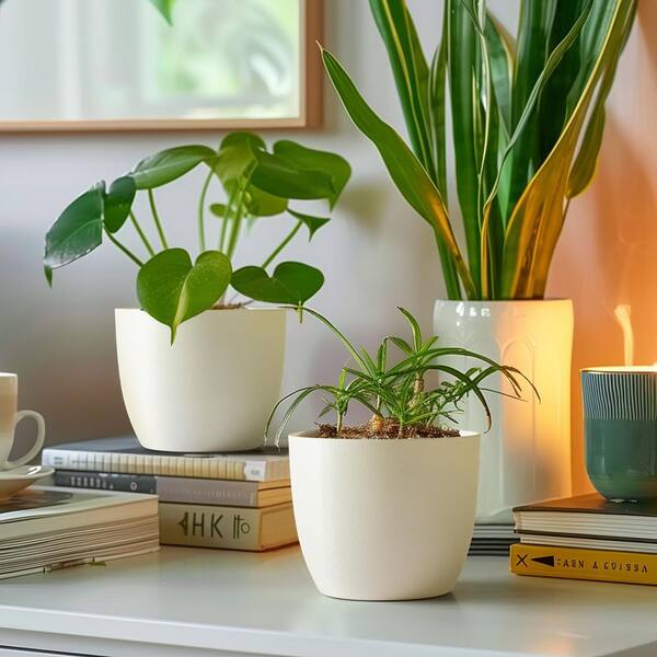 Misopily 6 in. L x 6 in. W x 5 in. H White Indoor/Outdoor Plastic
