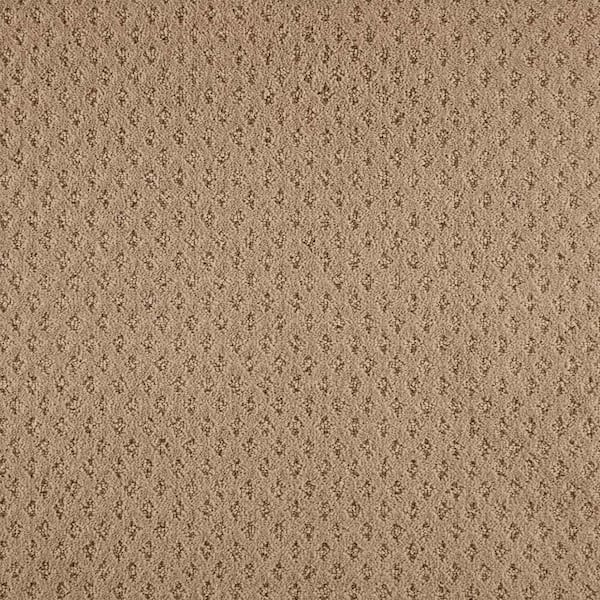 Lifeproof with Petproof Technology Lilypad - Color Gingerbread Indoor Pattern Beige Carpet