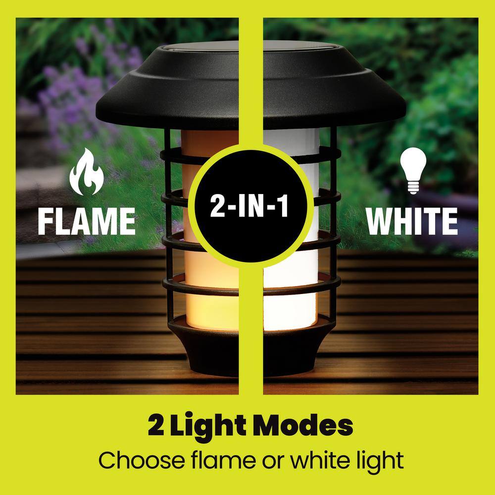 Color Changing LED Solar Pathway Lights Multipack