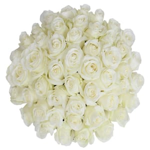 50-Stems White Roses