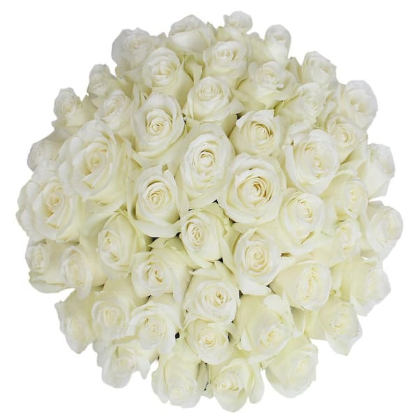 50-Stems White Roses