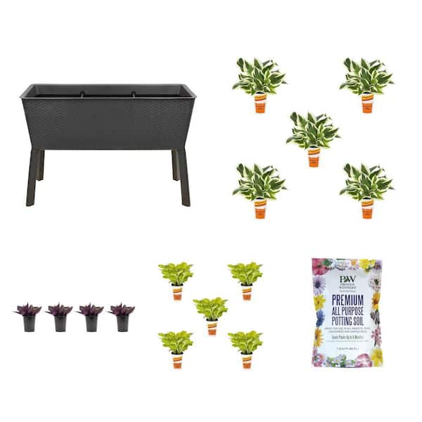 44.5 in. x 15.25 in. Resin Garden Bed, 1.5 cu. ft. Soil, Hosta (10-Pack) and Setcreasea Plant (4-Plants) Combo