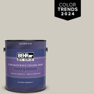 1 gal. Designer Collection #DC-007 Tranquil Gray Ceiling Flat Interior Paint & Primer