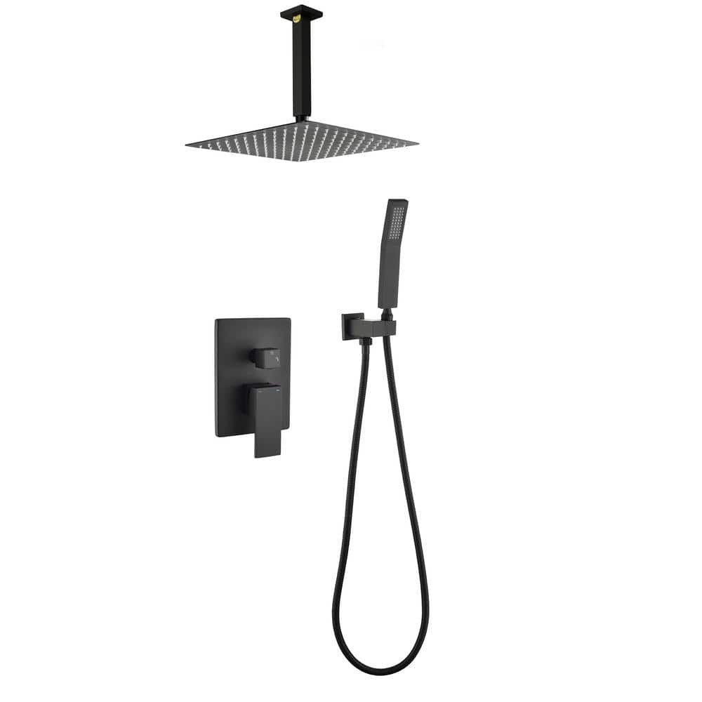 2-Spray Patterns 2.5 GPM 12 in. Ceiling Mount Dual Shower Heads in Matte Black (Valve Included) price history on PriceWatchPro