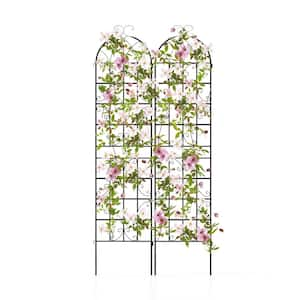 87 in. Metal Garden Trellis Decorative for Climbing Plants (2-Pack)